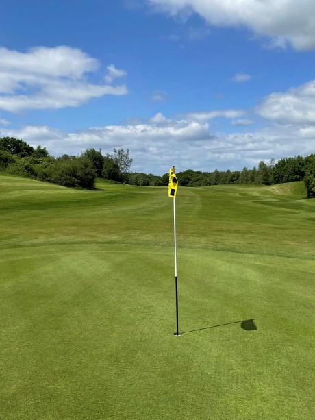 Course green and fairway